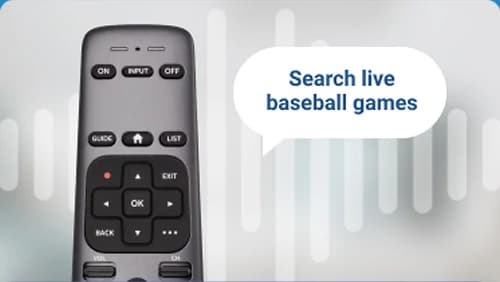 Gemini voice remote